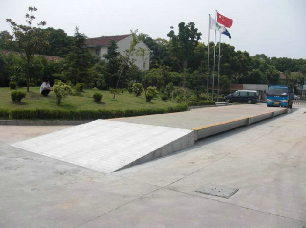 迪賽諾維生素集團(tuán)電子汽車(chē)衡